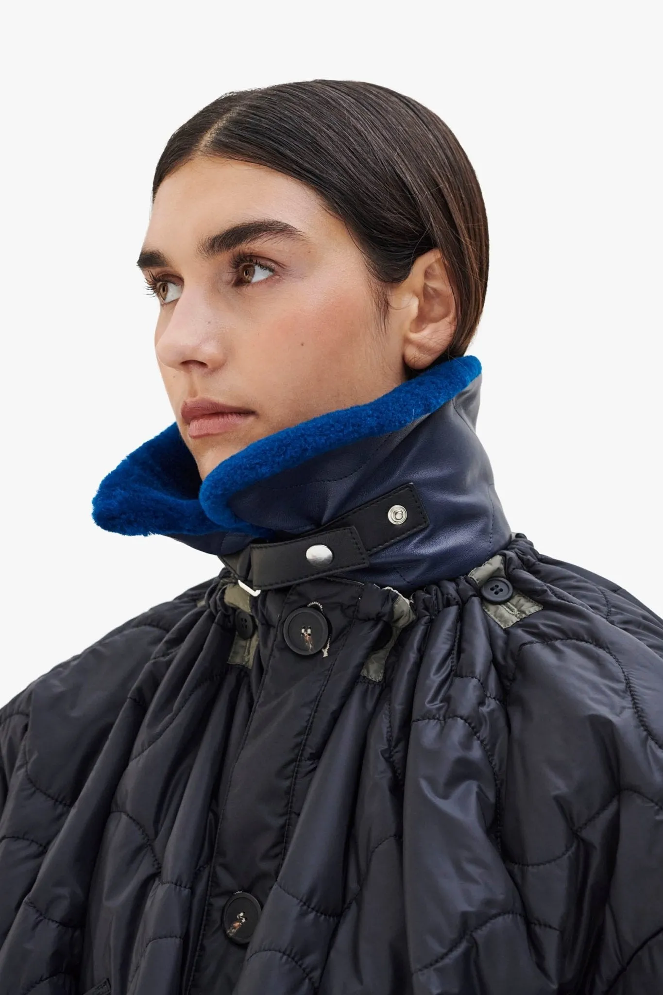 Aviator Collar - Petrol / Navy